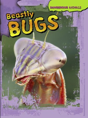 cover image of Beastly Bugs